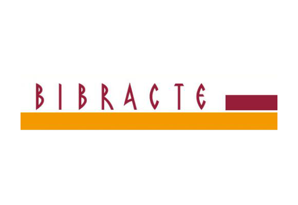 Bibracte