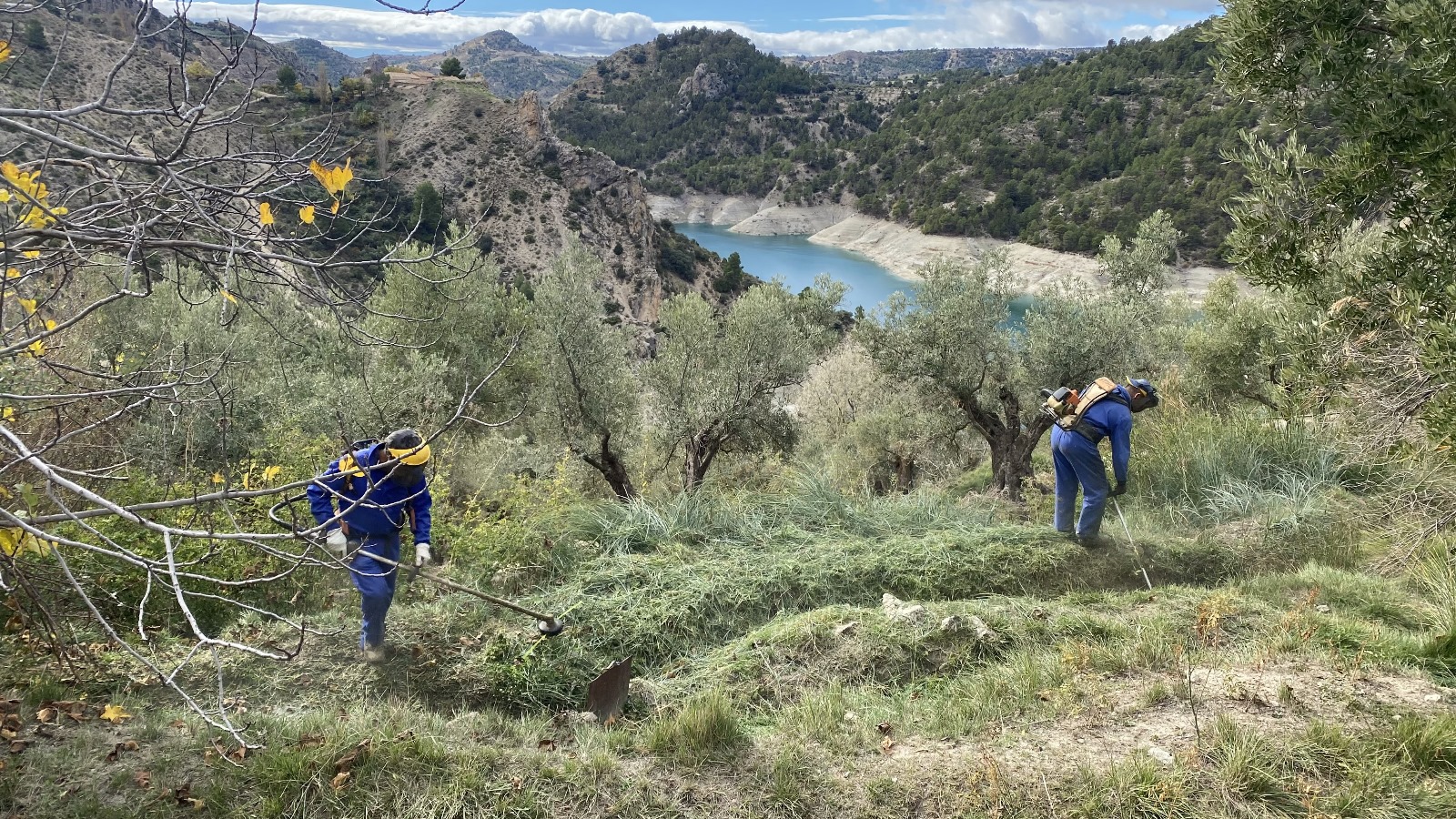 volunteers working on one of the irrigation channels