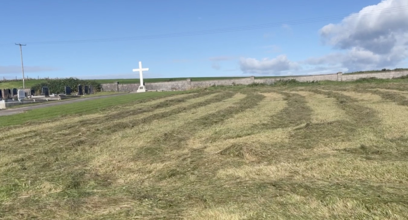 Rows of recenetly mown hay in cemetery