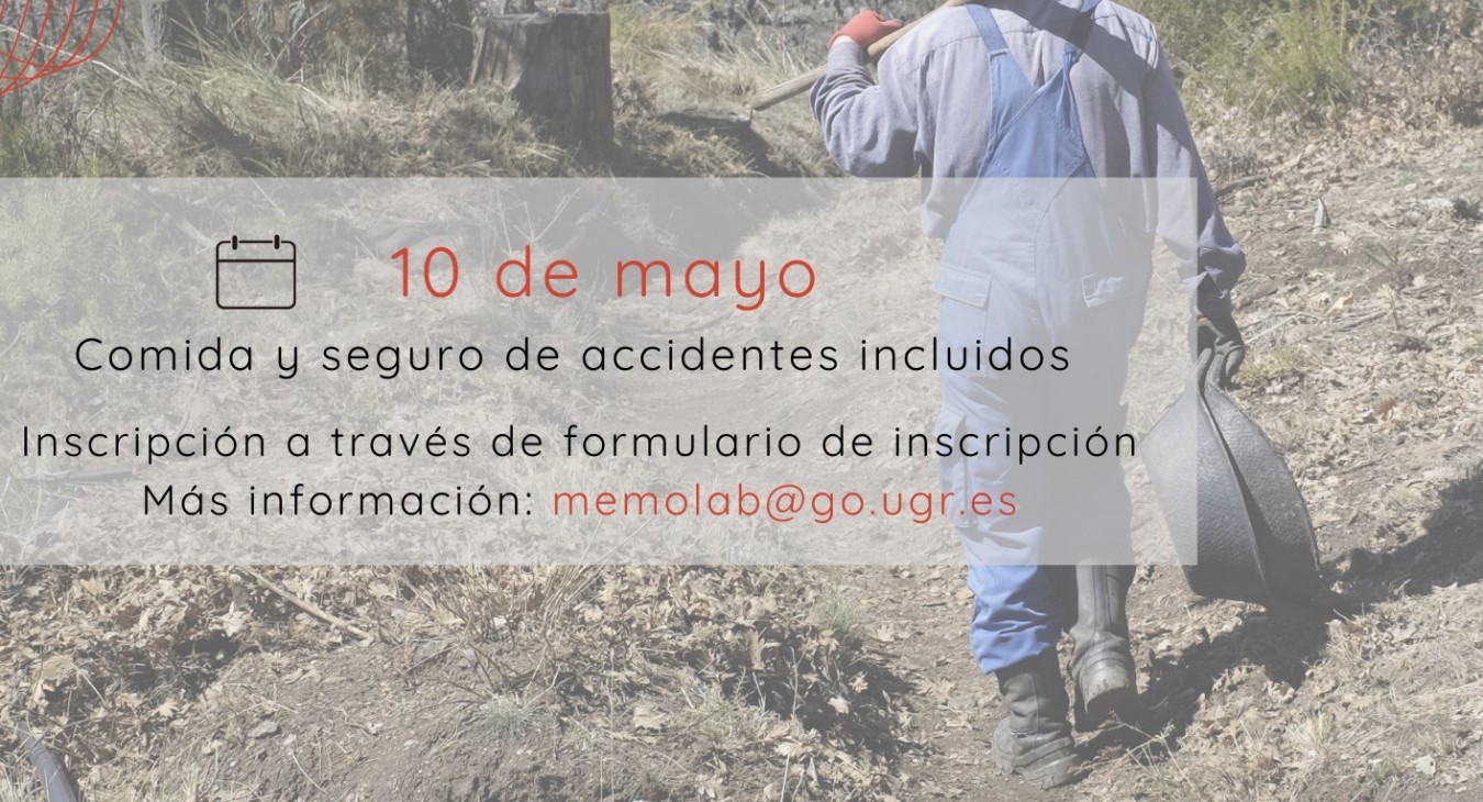 limpieza-acequia-de-barjas-2025