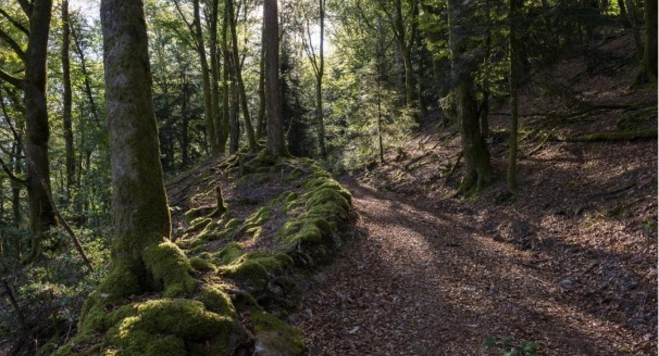 © Bibracte, Antoine Maillier