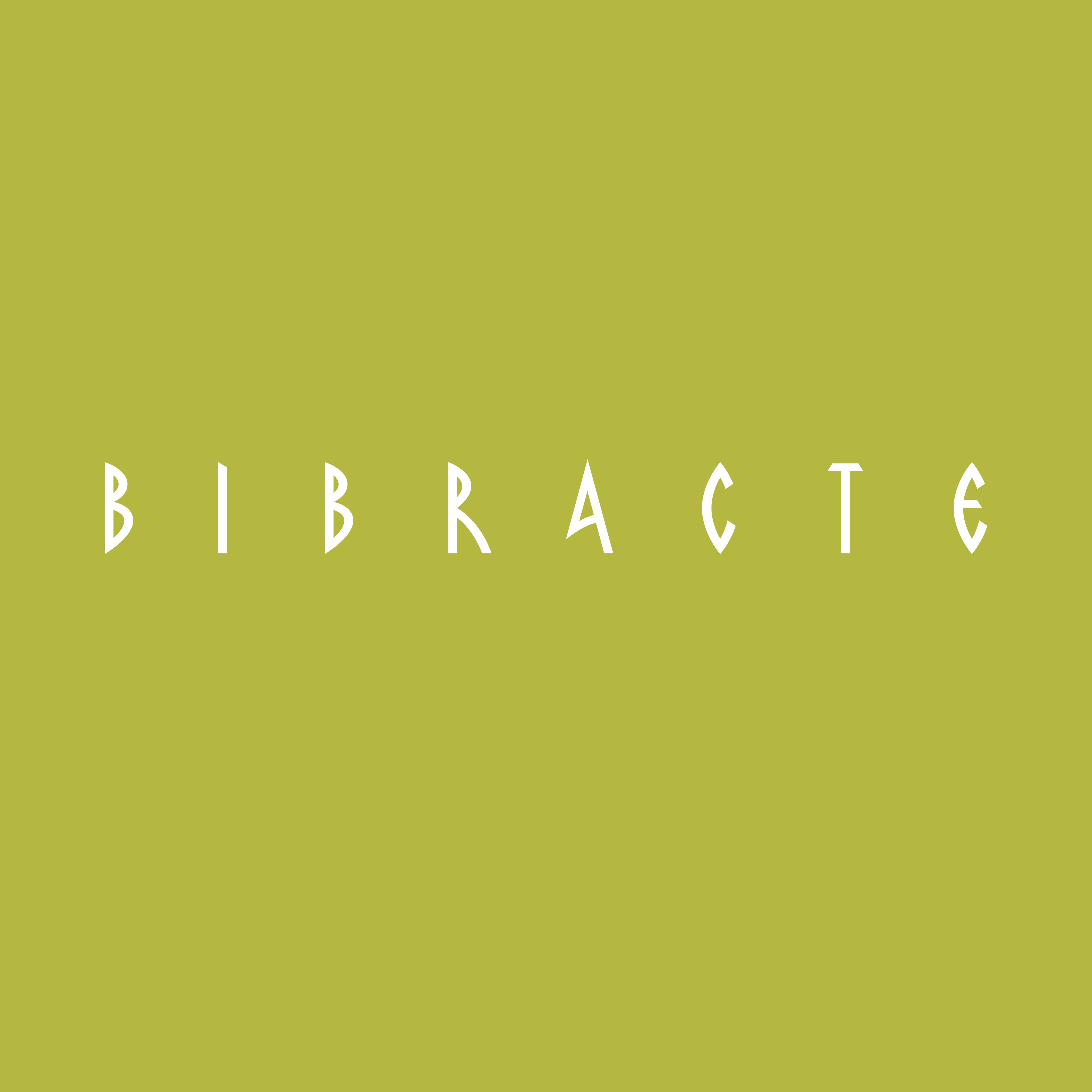 Bibracte logo