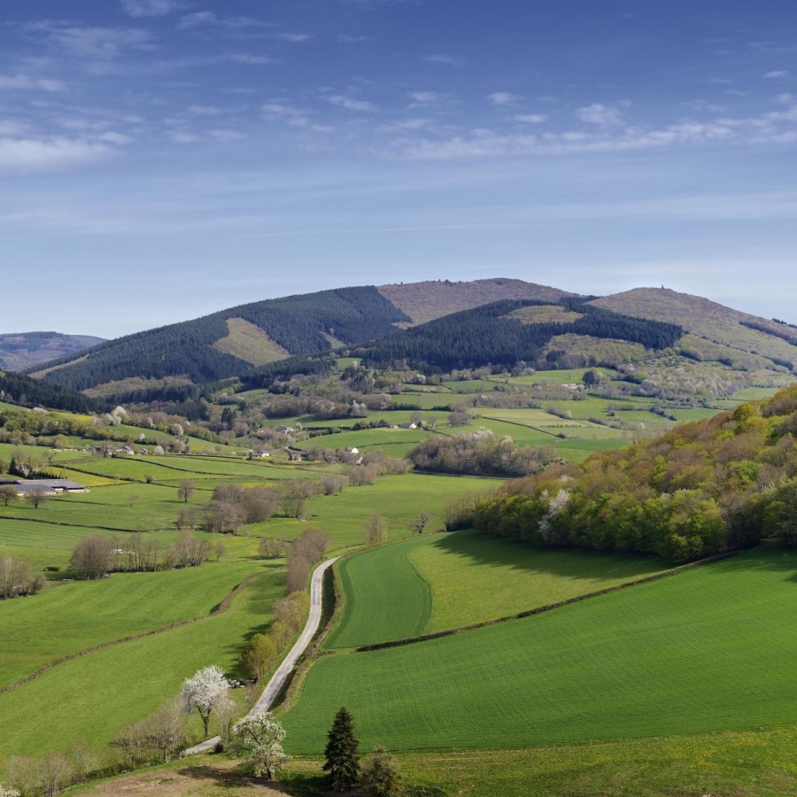 Bibracte landscape view